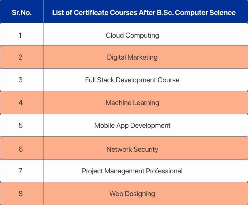 List of Certificate Courses After B.Sc. Computer Science